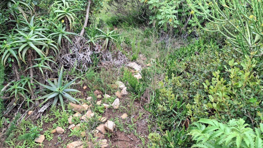 0 Bedroom Property for Sale in Vleesbaai Western Cape